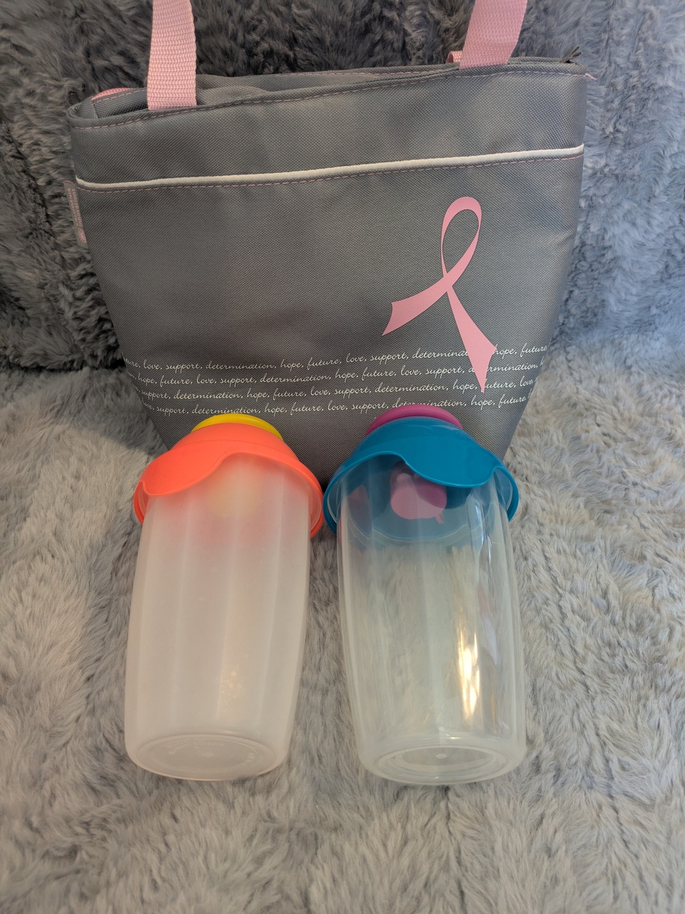 Insulated Lunch Bag With 2 Salad & Dressing Containers
